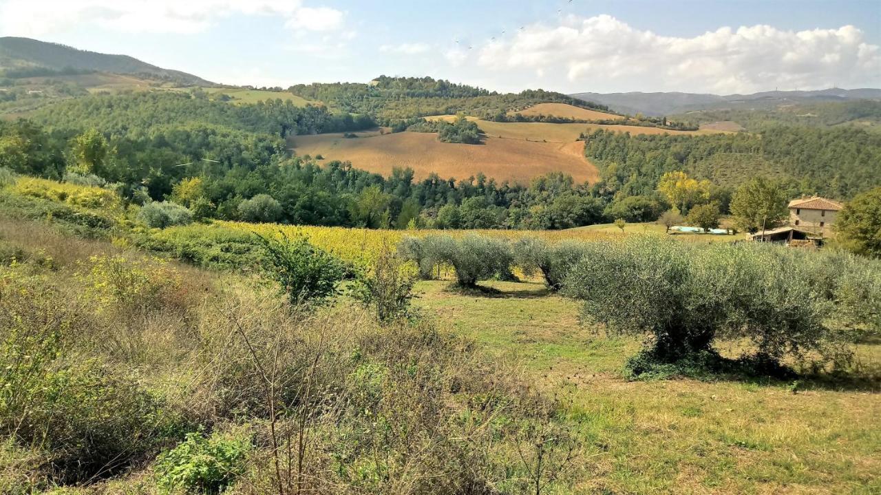 הוילה Monte Castello di Vibio Campo Al Vento - Country Farm מראה חיצוני תמונה